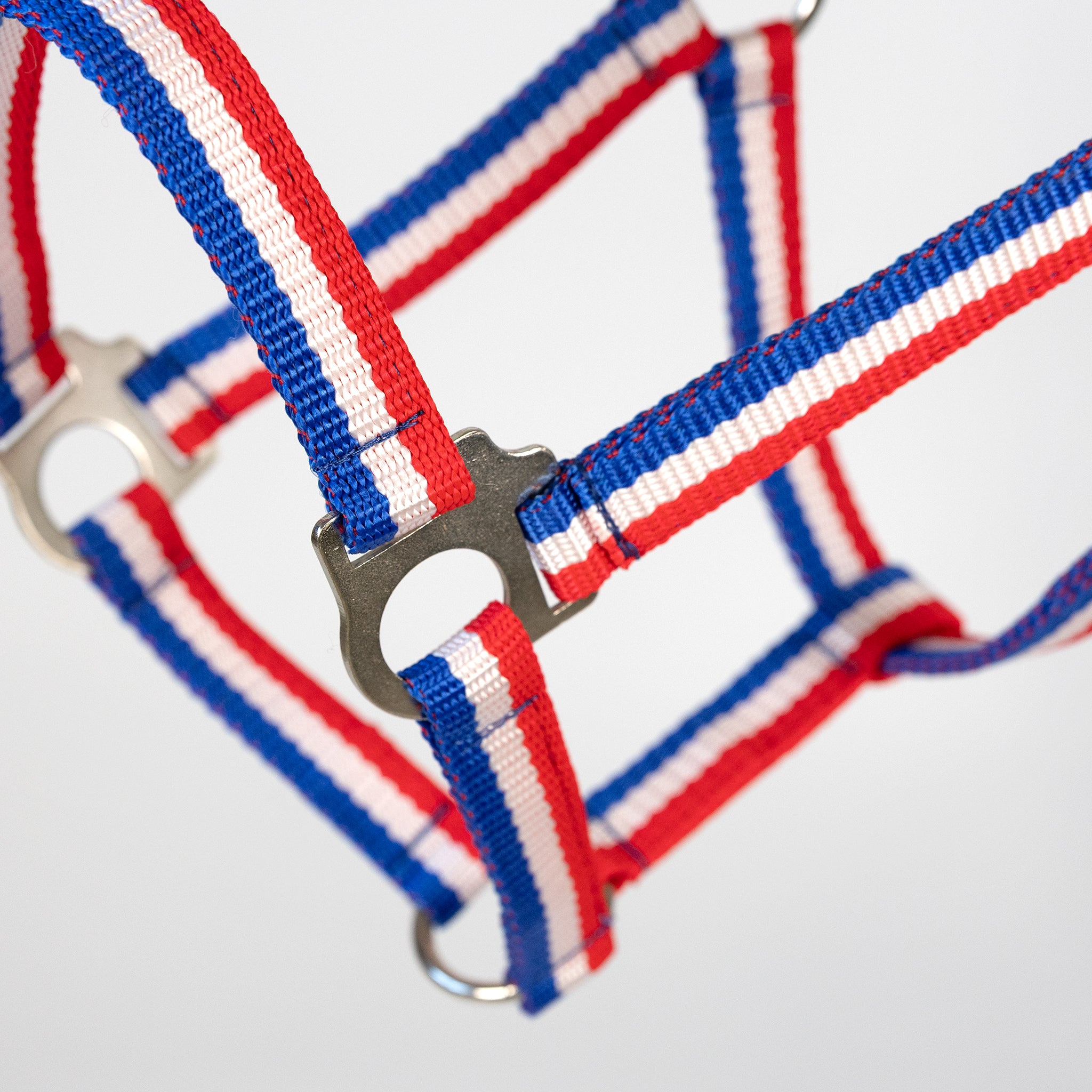 Holsteiner Halfter Tricolor