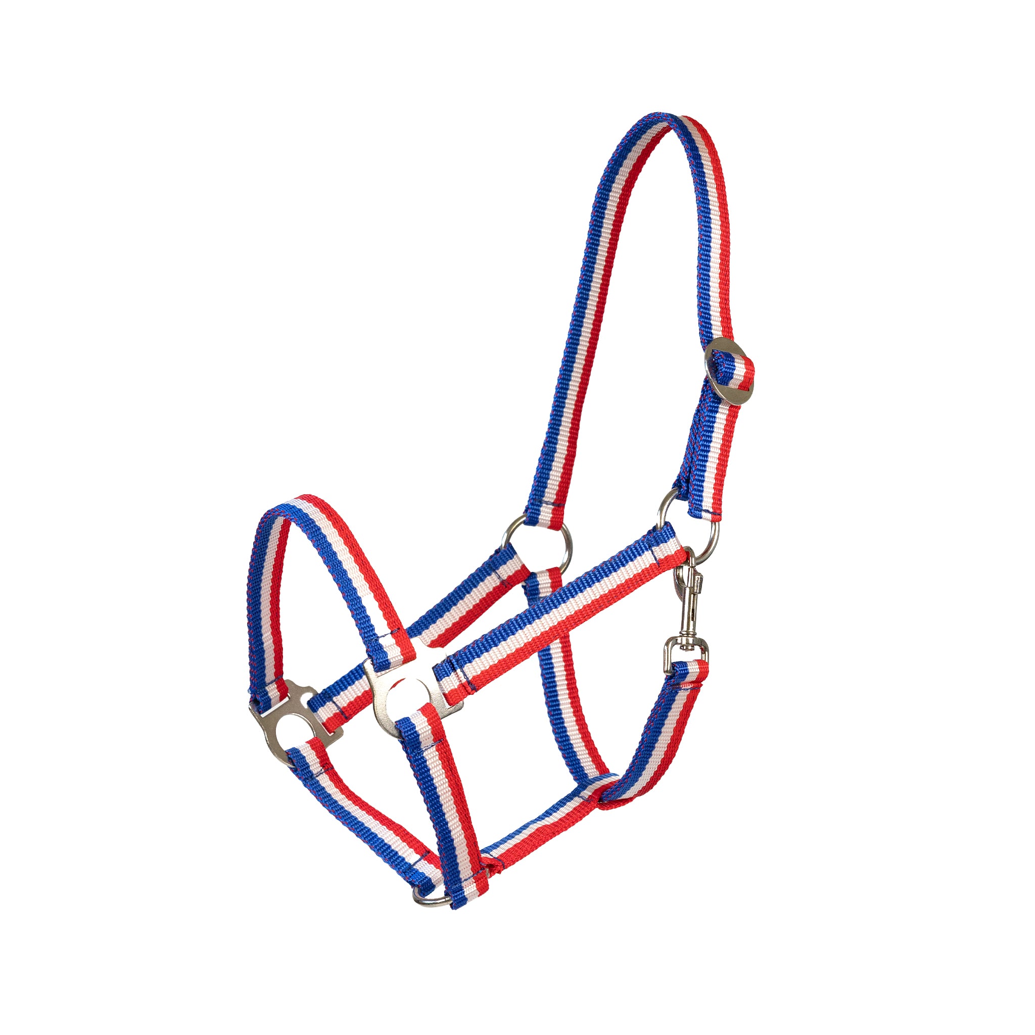 Holsteiner Halfter Tricolor