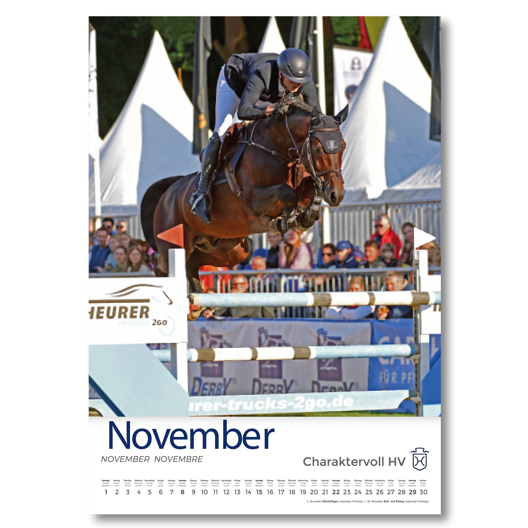 Holsteiner Impressionen - Kalender 2026