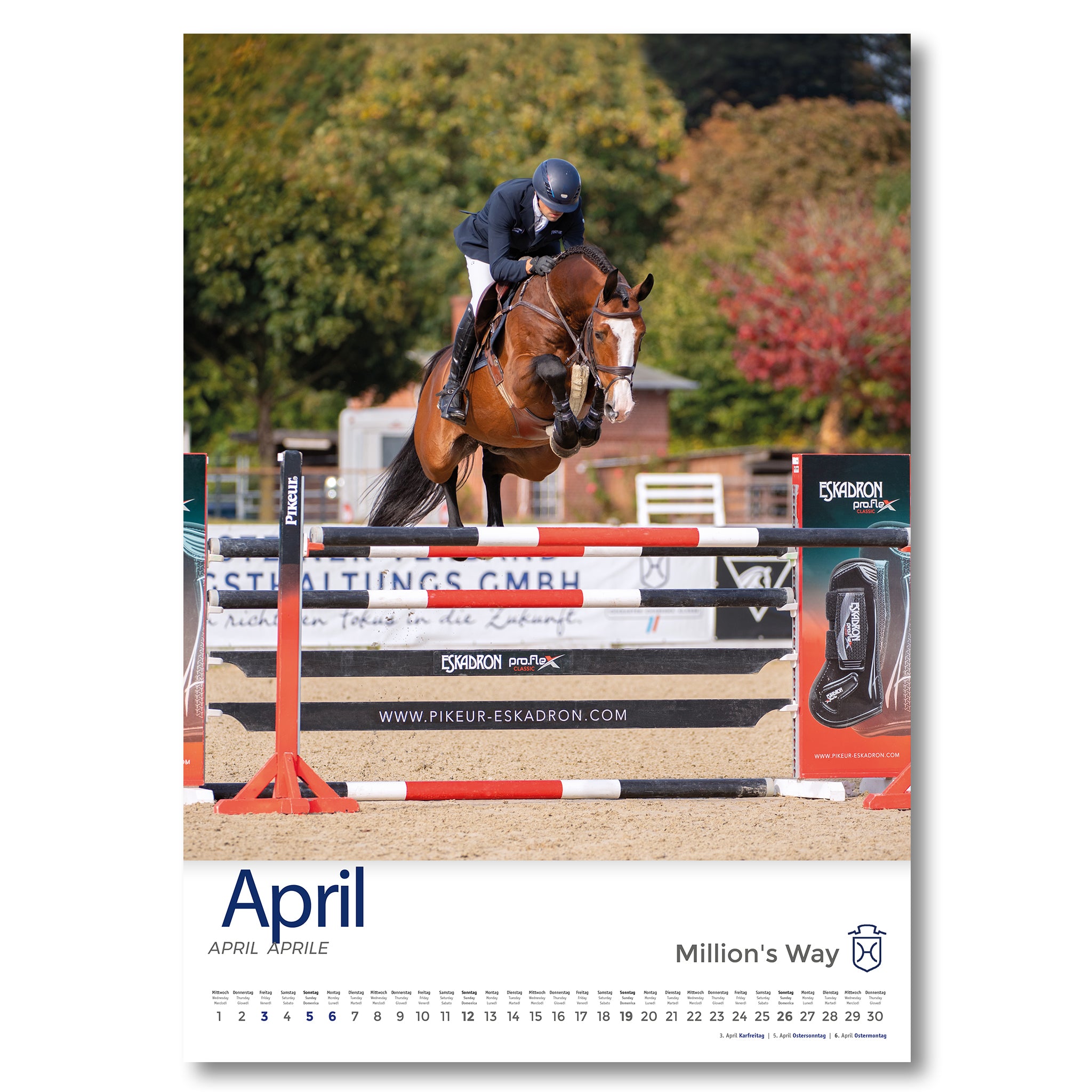 Holsteiner Impressionen - Kalender 2026