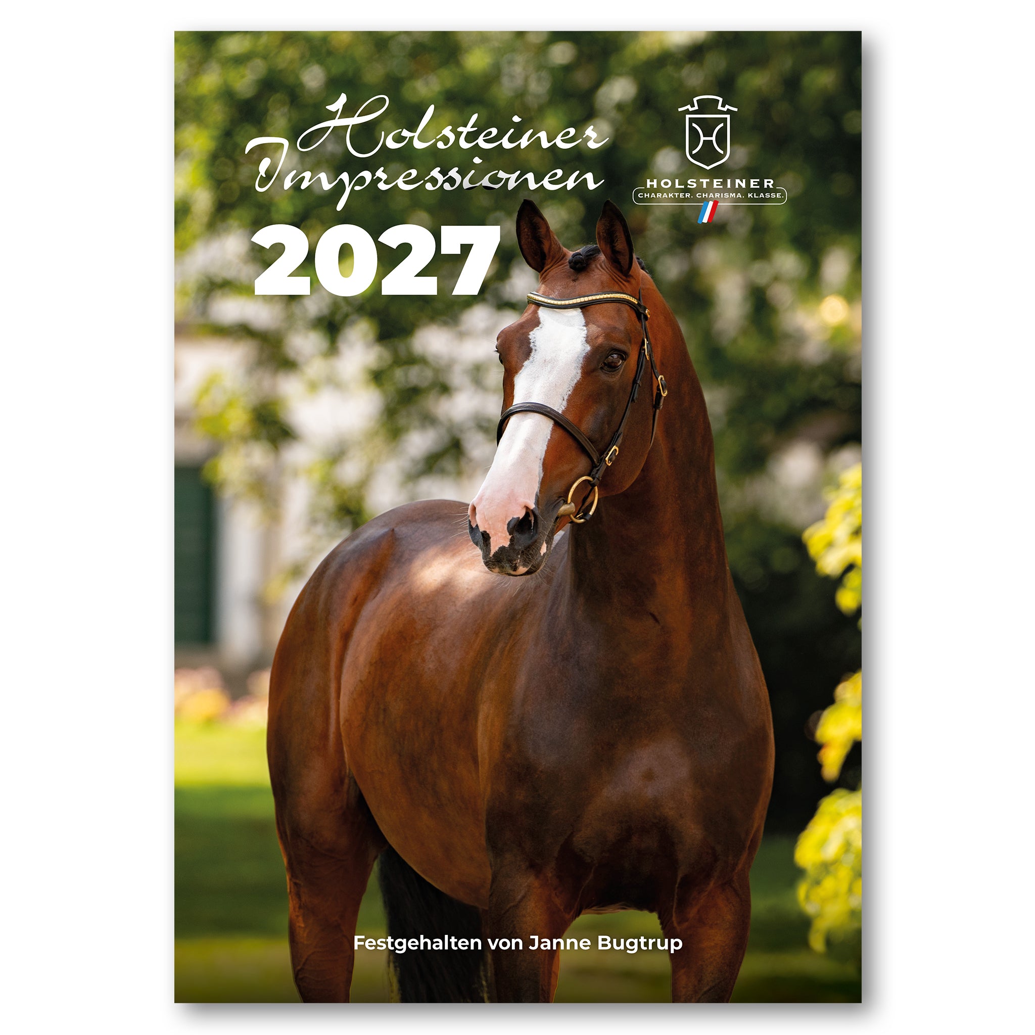 Holsteiner Impressionen - Kalender 2027