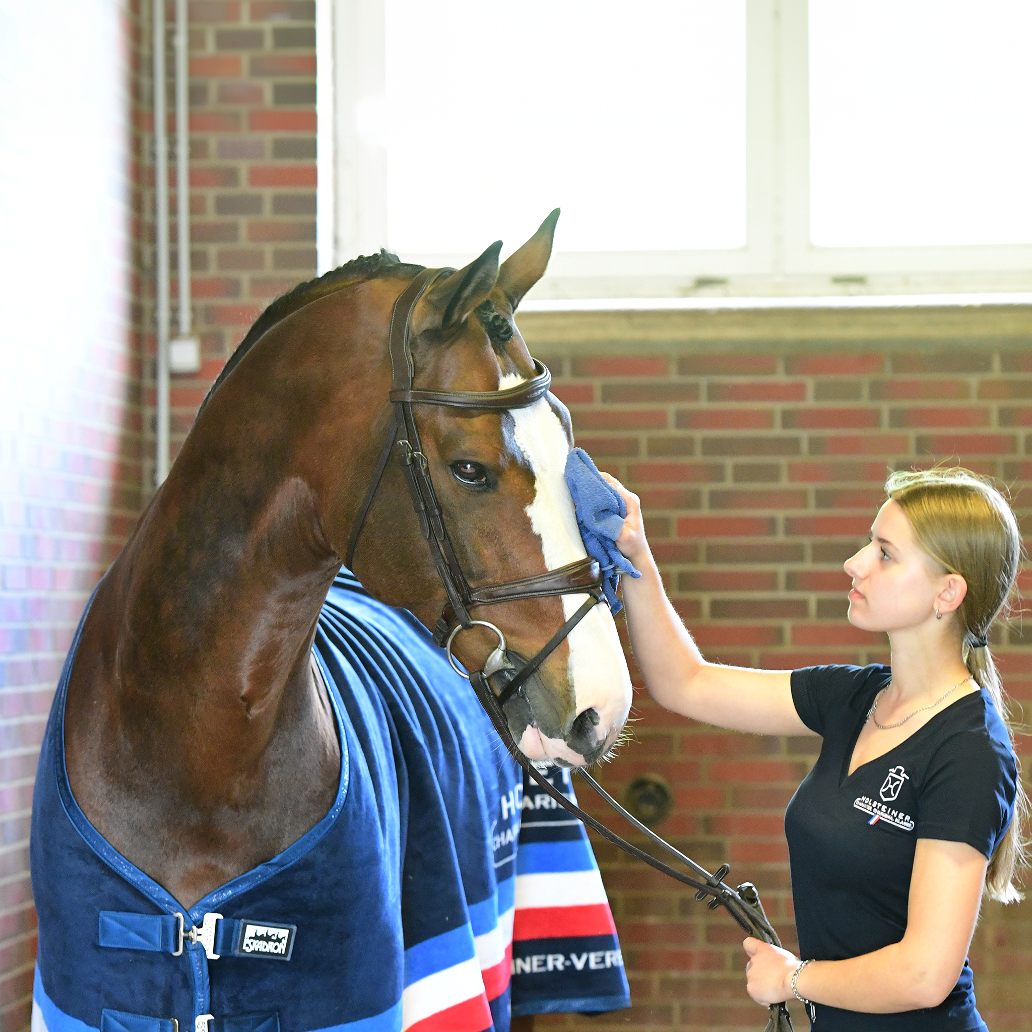 Holsteiner Elite Blanket by ESKADRON Dralon Blanket (15007)