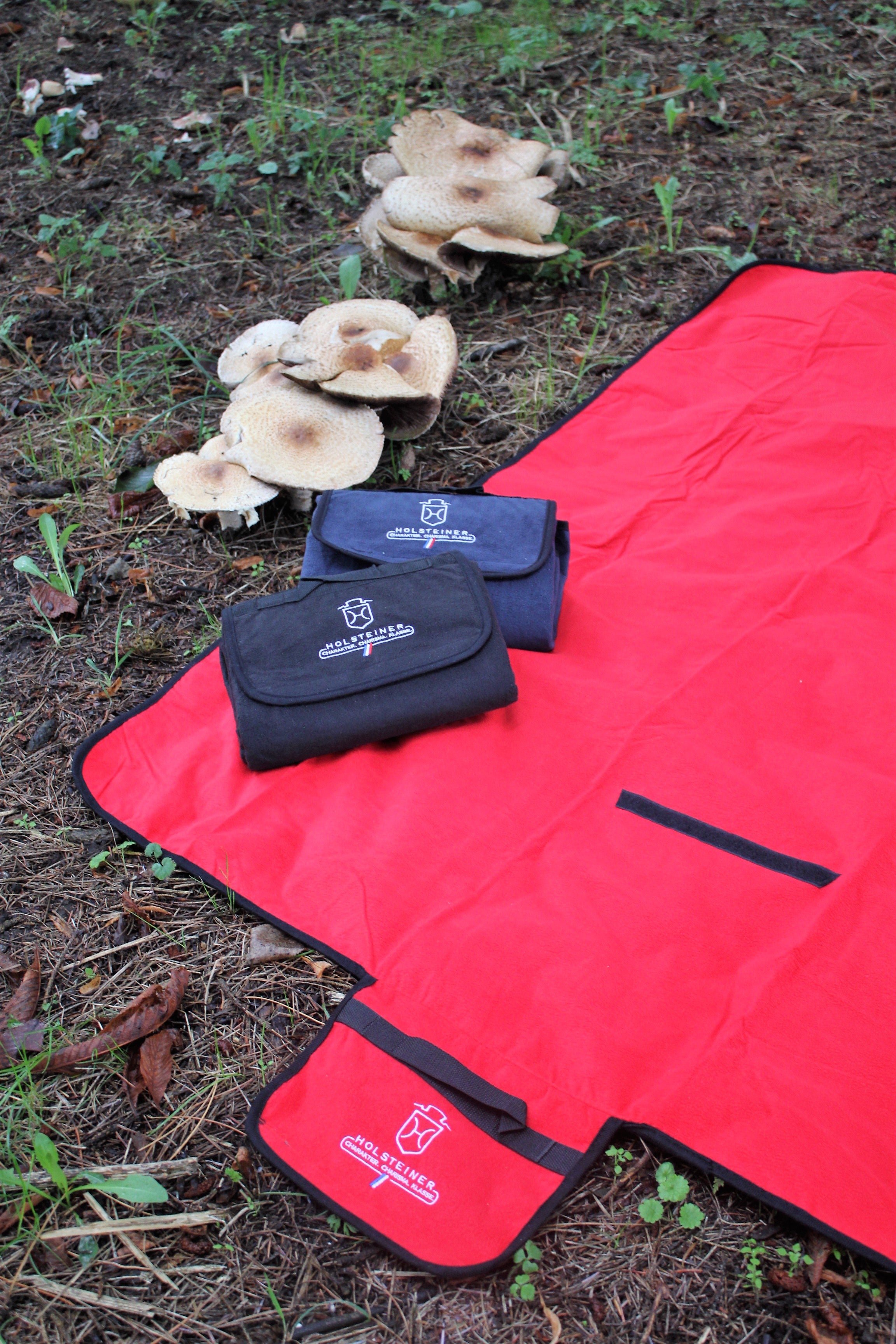 Holsteiner Picknickdecke2Go