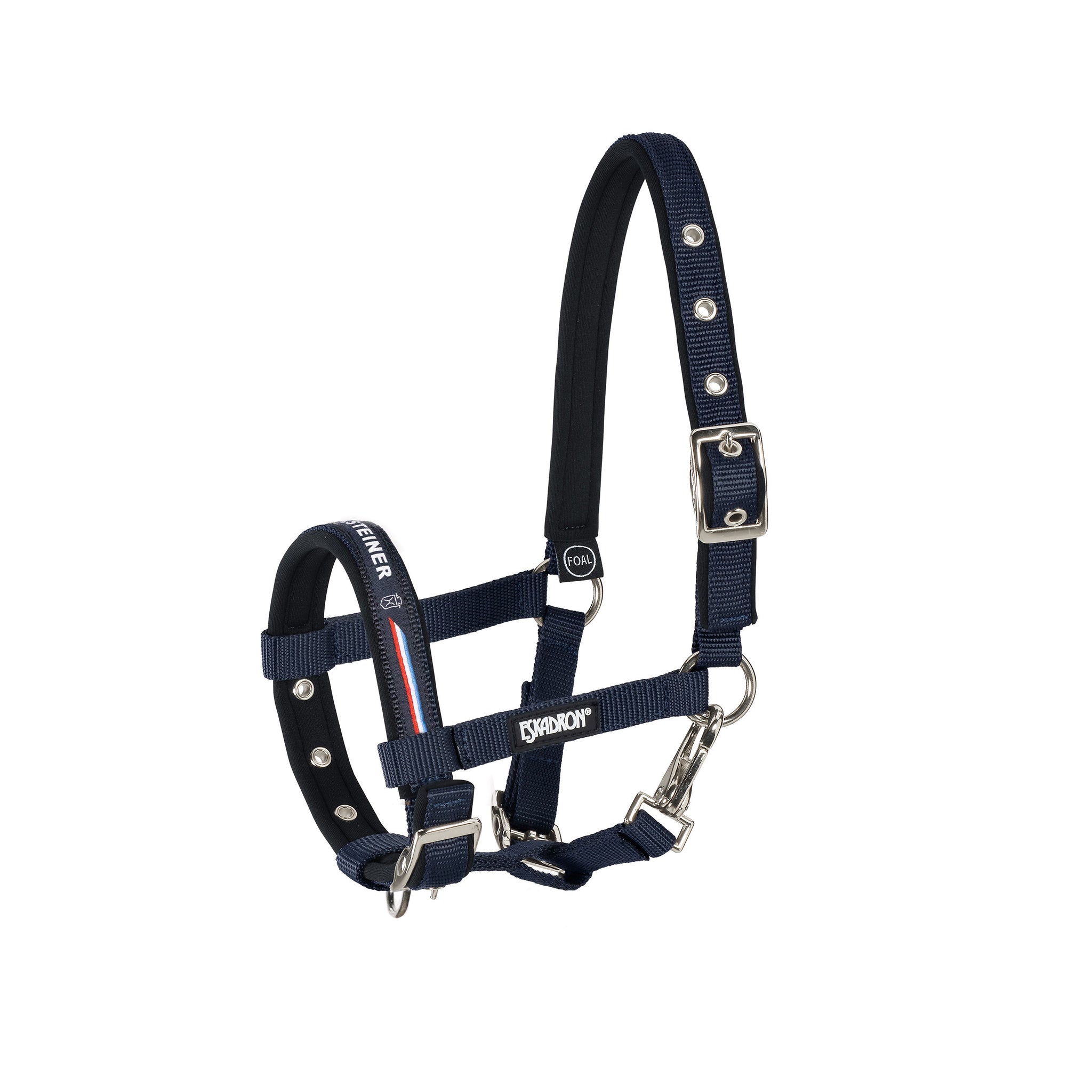 Holsteiner Elite Fohlenhalfter meets Eskadron