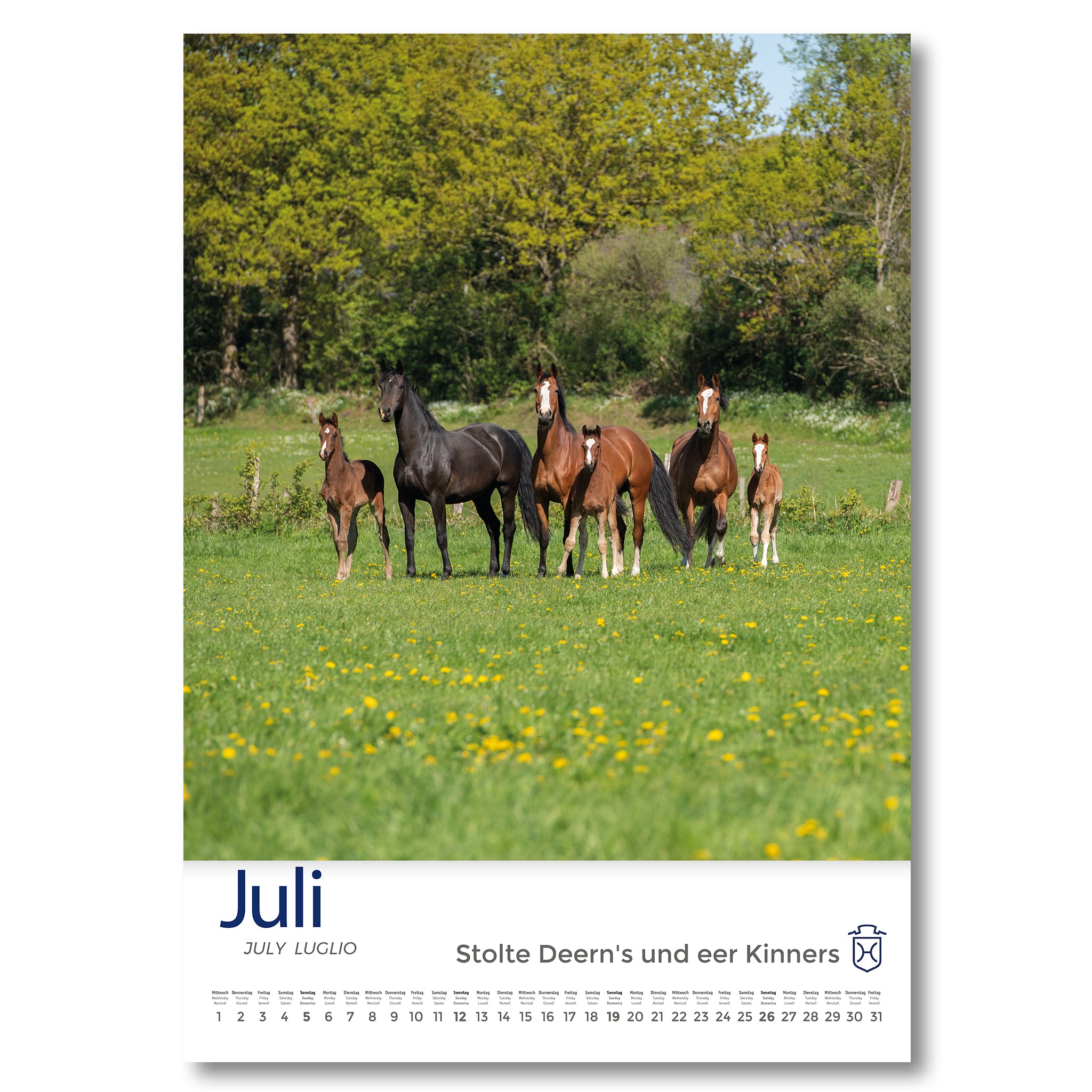 Holsteiner Impressionen - Kalender 2026