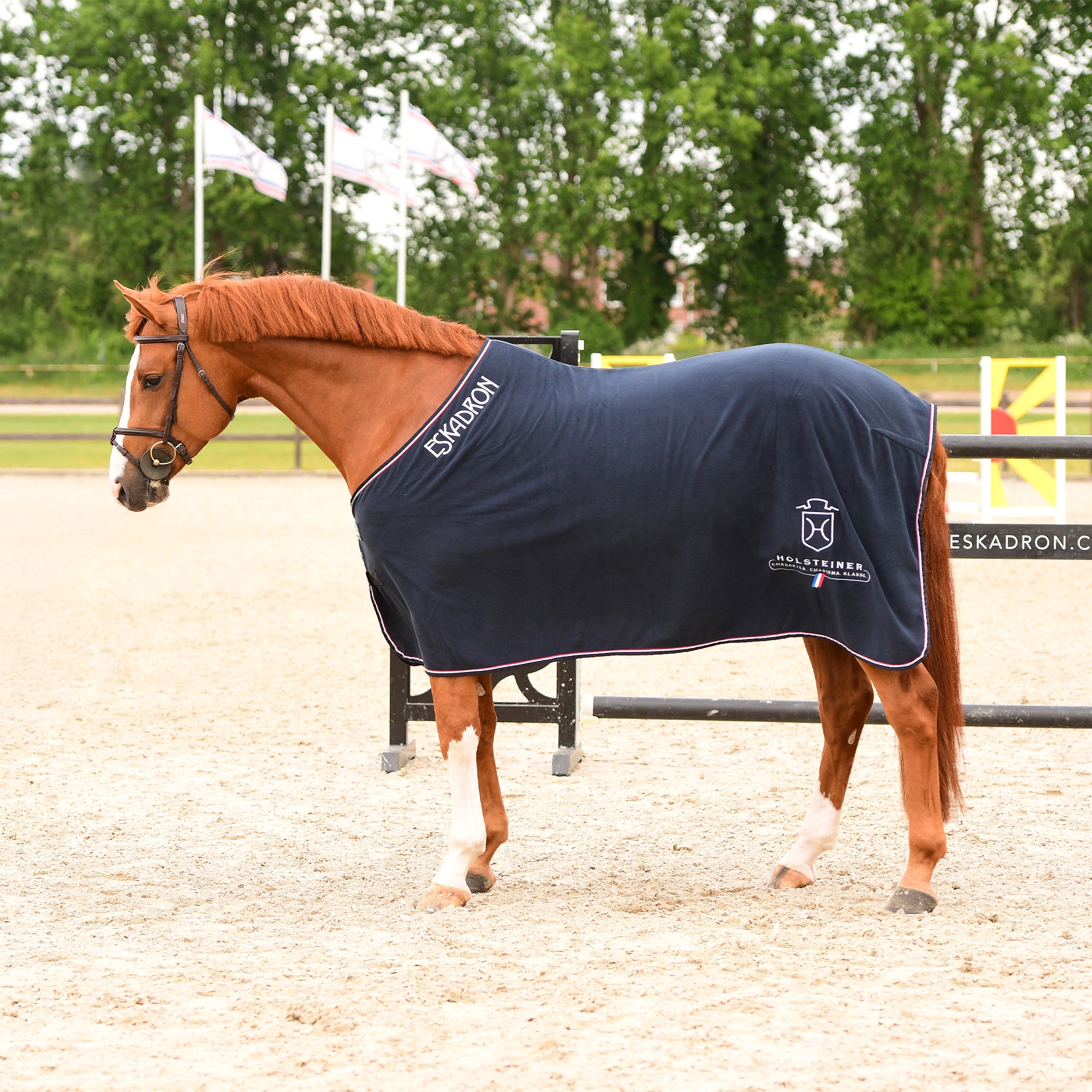 Abschwitzdecke v. ESKADRON