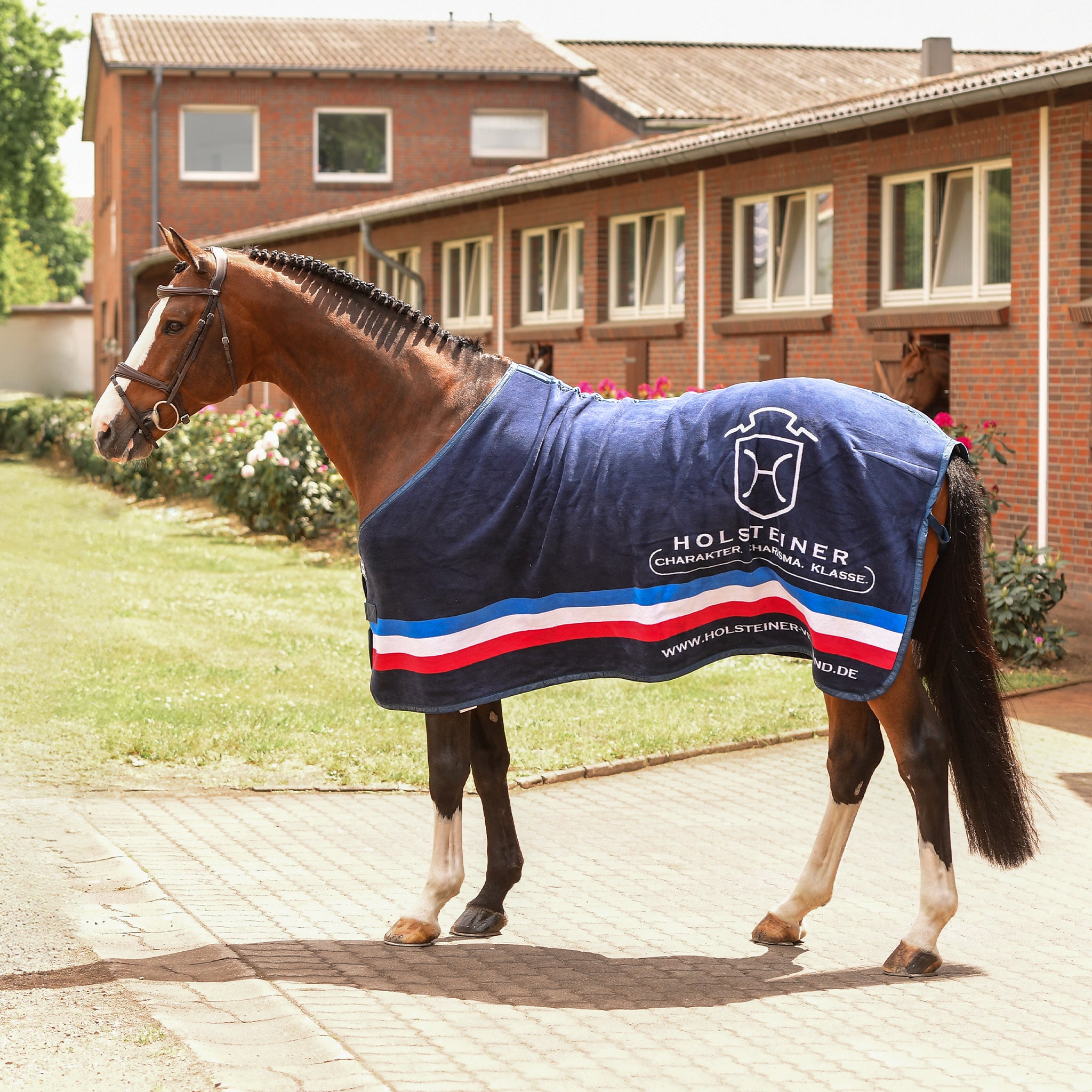 Holsteiner Elitedecke v. ESKADRON