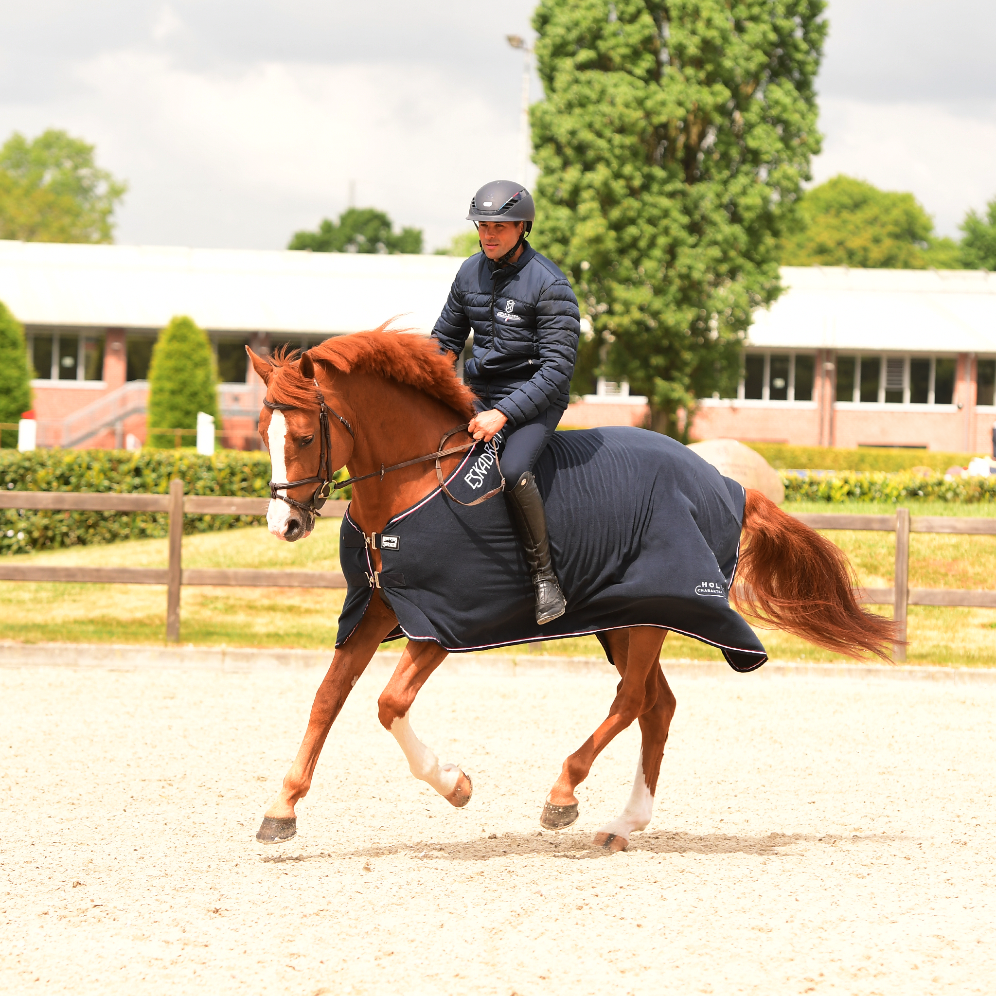 Abschwitzdecke v. ESKADRON