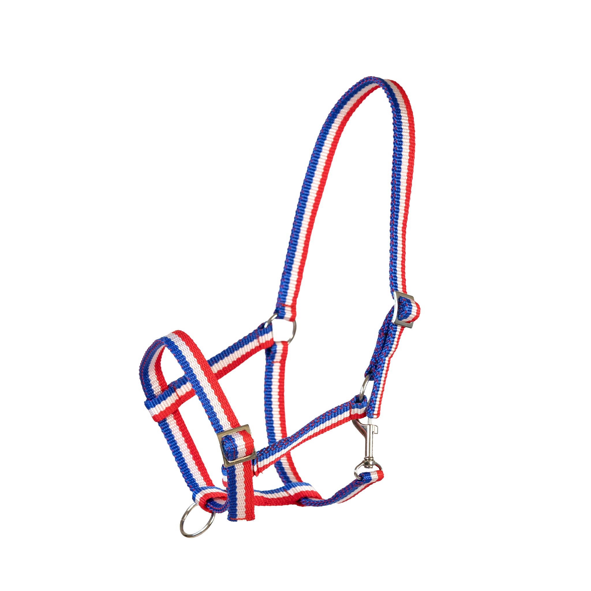 Holsteiner Tricolor Fohlen- und Jährlingshalfter