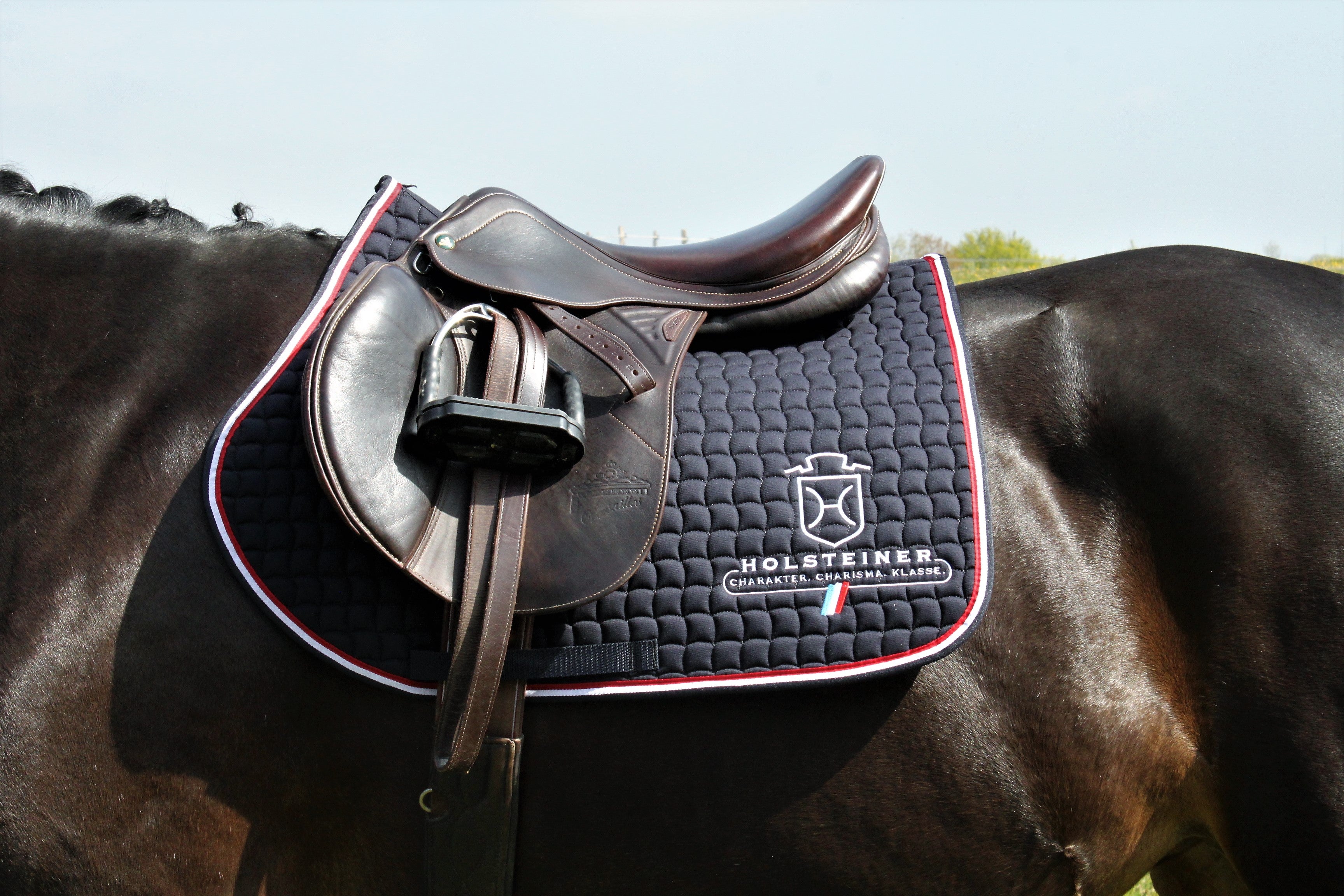 VS-Schabracke Holsteiner v. ESKADRON - dunkelblau