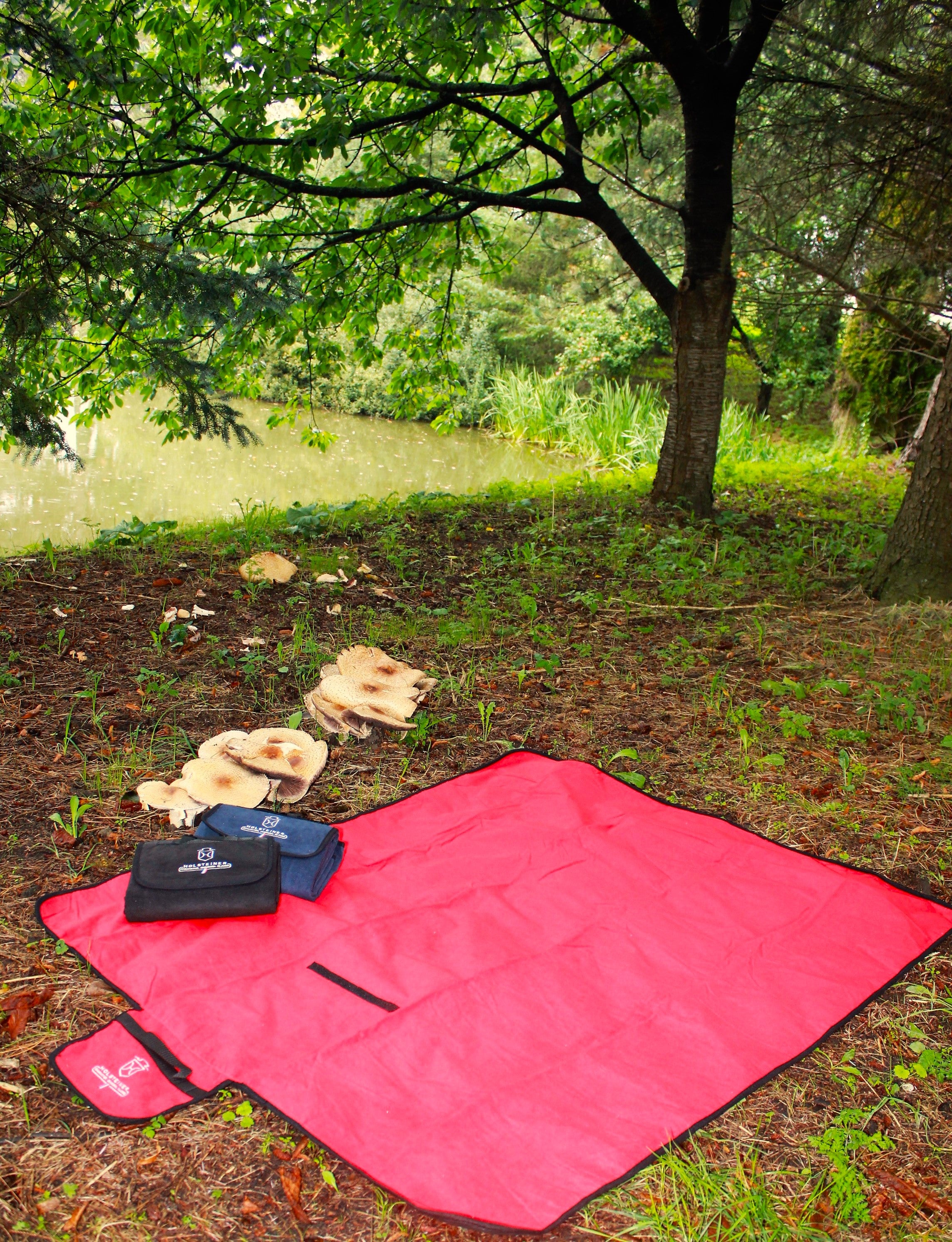 Holsteiner Picknickdecke2Go